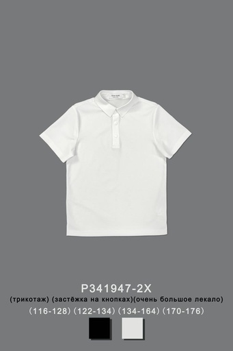 Поло для мальчика P341947-2X